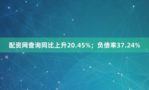 配资网查询同比上升20.45%；负债率37.24%